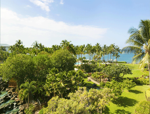 partial-ocean-view